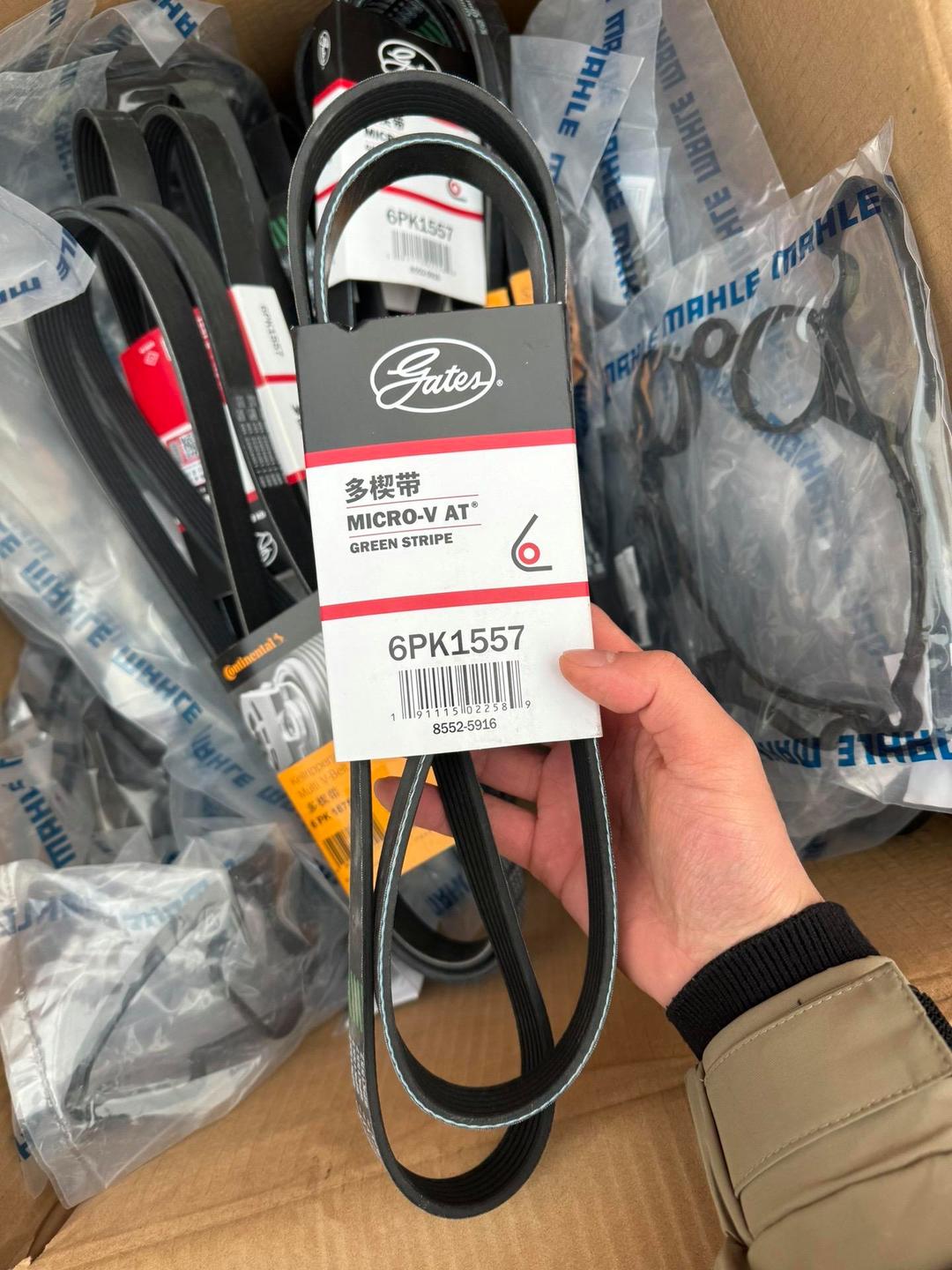 蓋茨發電機皮帶 馬牌發